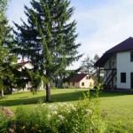 Viteri