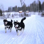 Brīvdienu māja "Meirānu krasts"