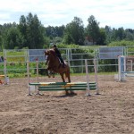 Latvijas zirgu audzētāju diena Latgalē