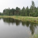 Dīķis "Palienas"