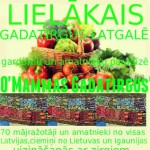 paraugs (2)