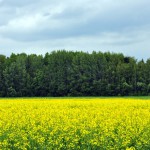 Foto: Madara Ļaksa