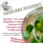 Nolikums fotokonkurss (779 x 1169)