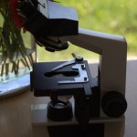 Mikroskops