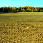 Foto: Madara Ļaksa