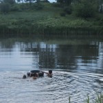 IMG_3659-1024x682