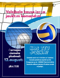 Copy of Volleyball
