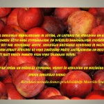 apsveikums_skolotaju_diena_jpg