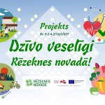 majaslapai(BANER)