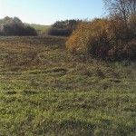 IMG_20181015_104518