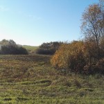 IMG_20181015_104518