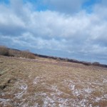 IMG_20190309_094735