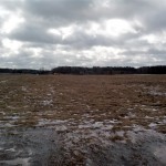 IMG_20190309_100929 (2)
