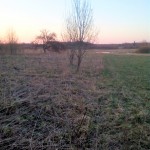 IMG_20190421_201752 (2)