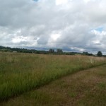 IMG_20190707_170432