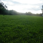DSCF7530