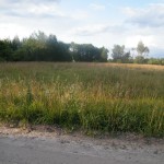DSCF7534