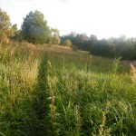 DSCF7540