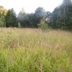 DSCF7548