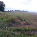 DSCF7564
