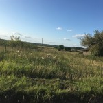 IMG_0062