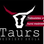Tiešsaistes video kursi