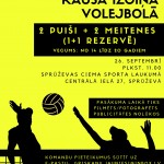 Kausa izcīņa volejbolā