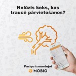 mobio_koks