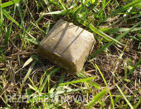 Rēzeknes pierobežā no lidmašīnām izvietos meža dzīvnieku vakcīnas