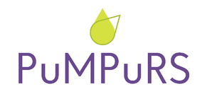 Pumpurs midi ar malam